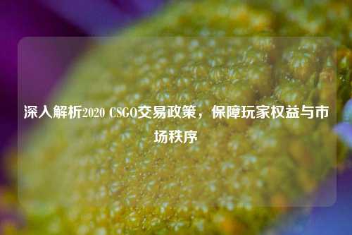 深入解析2020 CSGO交易政策,保障玩家权益与市场秩序