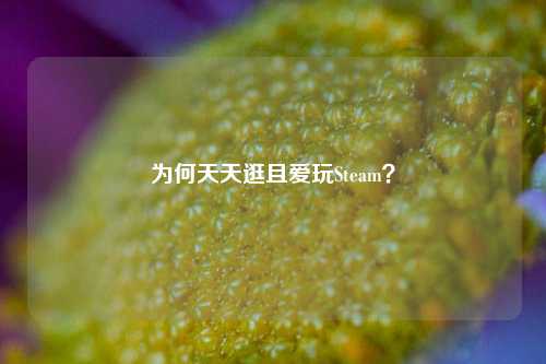 为何天天逛且爱玩Steam？