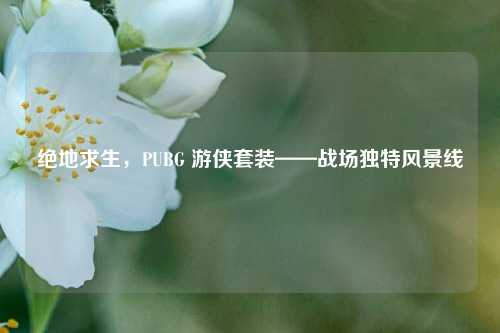 绝地求生，PUBG 游侠套装——战场独特风景线