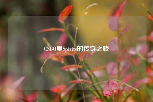 CSGO里Spirits的传奇之旅