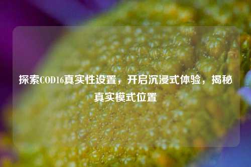 探索COD16真实性设置，开启沉浸式体验，揭秘真实模式位置