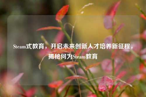 Steam式教育，开启未来创新人才培养新征程，揭秘何为Steam教育