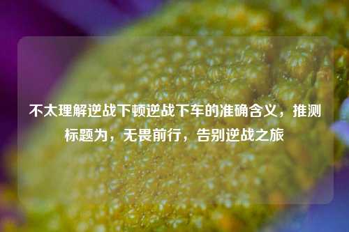 不太理解逆战下顿逆战下车的准确含义，推测标题为，无畏前行，告别逆战之旅