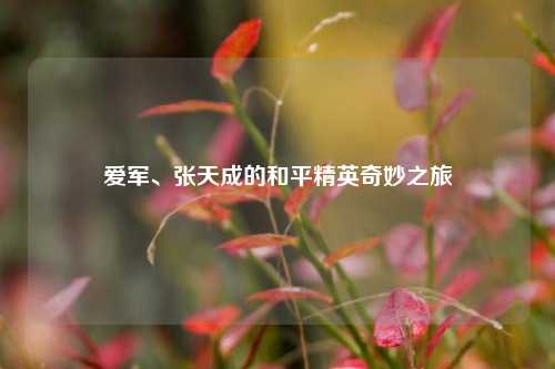 爱军、张天成的和平精英奇妙之旅