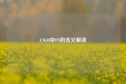CSGO中FN的含义解读