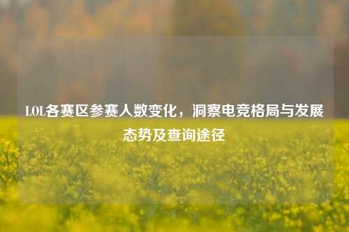LOL各赛区参赛人数变化,洞察电竞格局与发展态势及查询途径