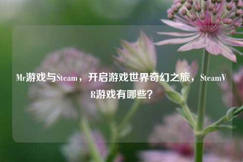 Mr游戏与Steam，开启游戏世界奇幻之旅，SteamVR游戏有哪些？