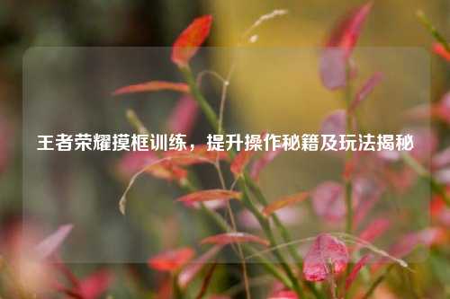 王者荣耀摸框训练,提升操作秘籍及玩法揭秘
