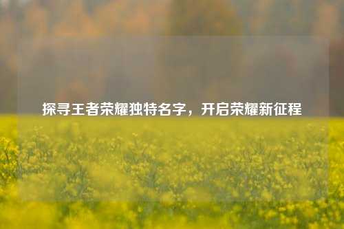 探寻王者荣耀独特名字,开启荣耀新征程