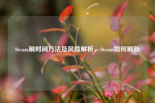 Steam刷时间方法及风险解析，Steam如何刷新