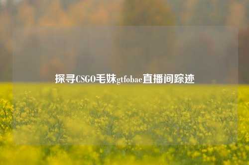 探寻CSGO毛妹gtfobae直播间踪迹