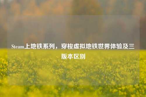 Steam上地铁系列,穿梭虚拟地铁世界体验及三版本区别