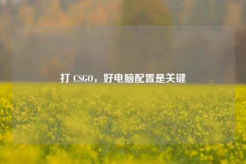 打 CSGO,好电脑配置是关键
