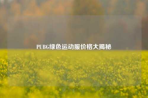 PUBG绿色运动服价格大揭秘