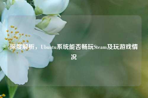 深度解析,Ubuntu系统能否畅玩Steam及玩游戏情况