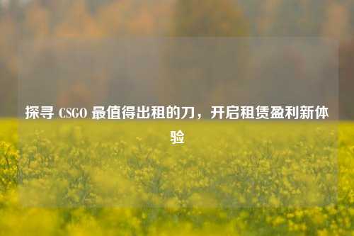 探寻 CSGO 最值得出租的刀,开启租赁盈利新体验