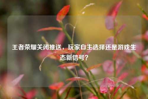 王者荣耀关闭推送,玩家自主选择还是游戏生态新信号?