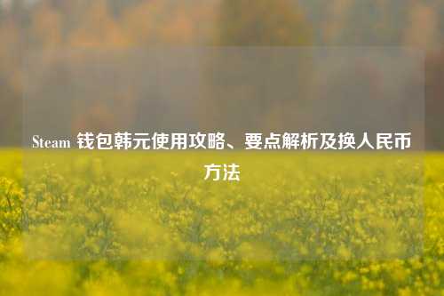 Steam 钱包韩元使用攻略、要点解析及换人民币方法