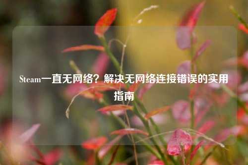 Steam一直无网络?解决无网络连接错误的实用指南