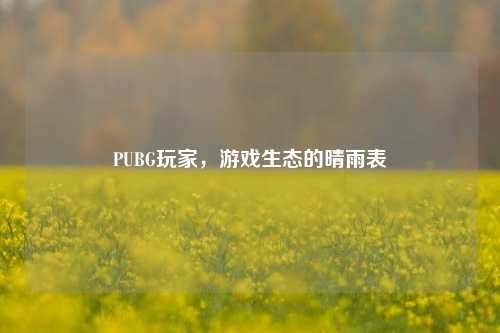 PUBG玩家,游戏生态的晴雨表