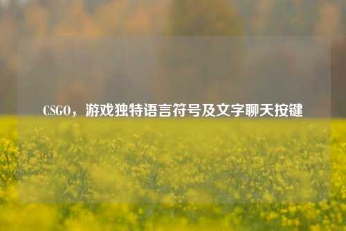 CSGO,游戏独特语言符号及文字聊天按键
