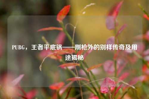 PUBG,王者平底锅——刚枪外的别样传奇及用途揭秘