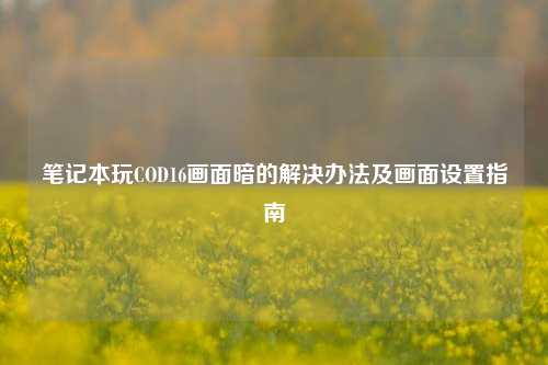 笔记本玩COD16画面暗的解决办法及画面设置指南