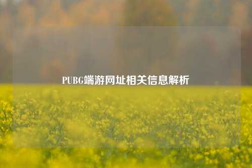 PUBG端游网址相关信息解析