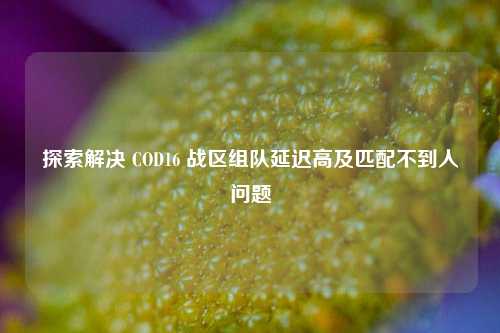 探索解决 COD16 战区组队延迟高及匹配不到人问题