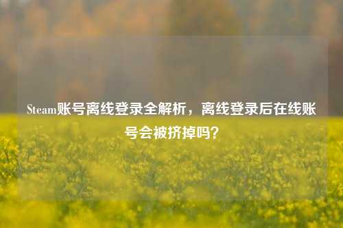 Steam账号离线登录全解析，离线登录后在线账号会被挤掉吗？