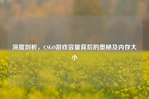 深度剖析，CSGO游戏容量背后的奥秘及内存大小
