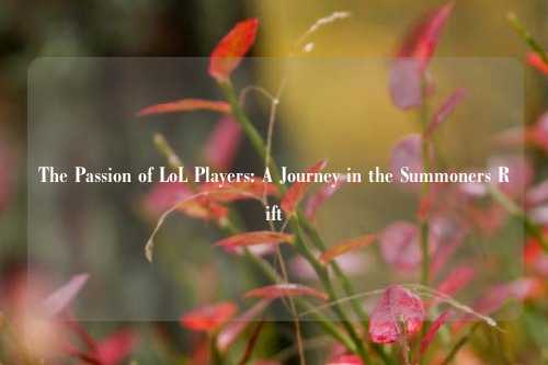 The Passion of LoL Players: A Journey in the Summoners Rift