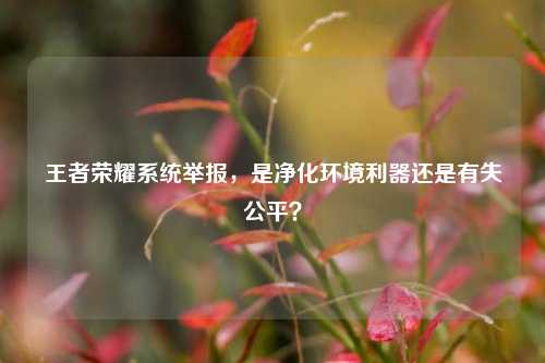 王者荣耀系统举报,是净化环境利器还是有失公平?