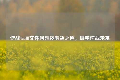 逆战7z.dll文件问题及解决之道,展望逆战未来