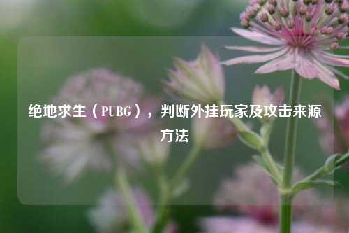 绝地求生（PUBG），判断外挂玩家及攻击来源方法