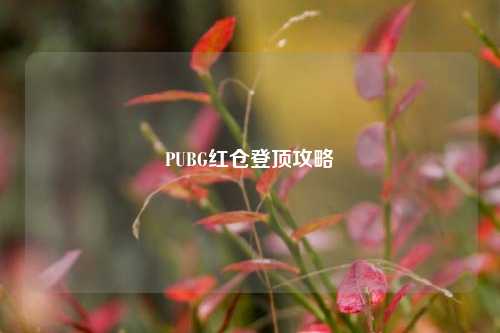 PUBG红仓登顶攻略