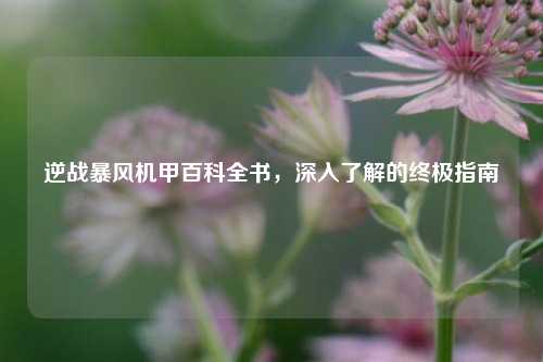逆战暴风机甲百科全书,深入了解的终极指南