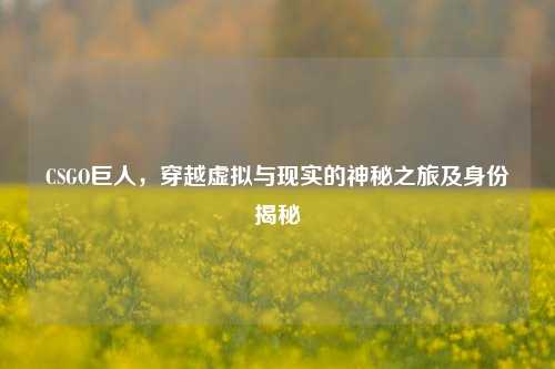 CSGO巨人,穿越虚拟与现实的神秘之旅及身份揭秘