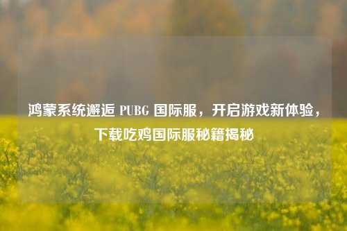 鸿蒙系统邂逅 PUBG 国际服,开启游戏新体验,下载吃鸡国际服秘籍揭秘