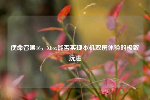 使命召唤16，Xbox能否实现本机双屏体验的极致玩法