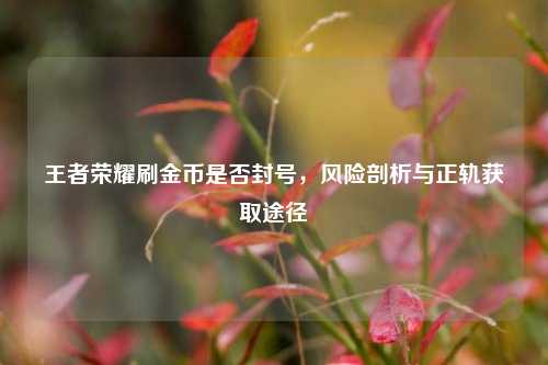 王者荣耀刷金币是否封号,风险剖析与正轨获取途径