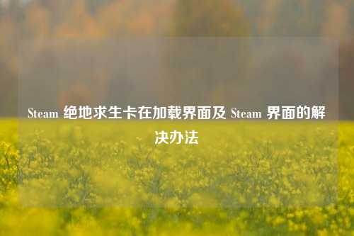 Steam 绝地求生卡在加载界面及 Steam 界面的解决办法