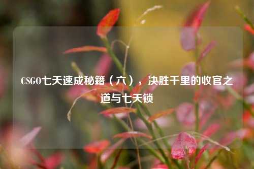 CSGO七天速成秘籍(六),决胜千里的收官之道与七天锁