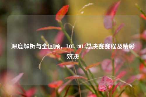 深度解析与全回顾,LOL 2014总决赛赛程及精彩对决