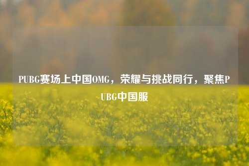 PUBG赛场上中国OMG,荣耀与挑战同行,聚焦PUBG中国服