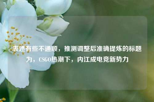 表述有些不通顺,推测调整后准确提炼的标题为,CSGO热潮下,内江成电竞新势力