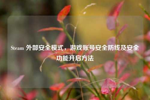 Steam 外部安全模式,游戏账号安全防线及安全功能开启方法