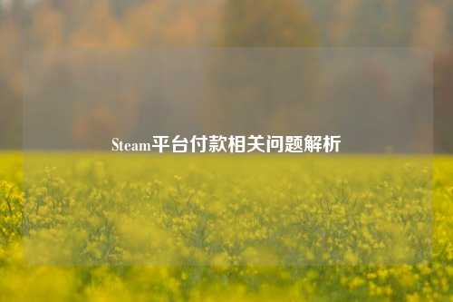 Steam平台付款相关问题解析