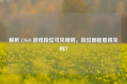 解析 CSGO 游戏段位可见规则,段位都能看得见吗?