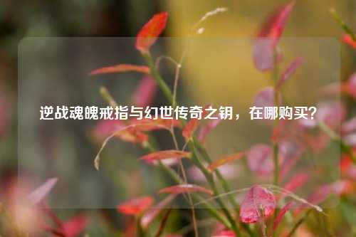 逆战魂魄戒指与幻世传奇之钥,在哪购买?